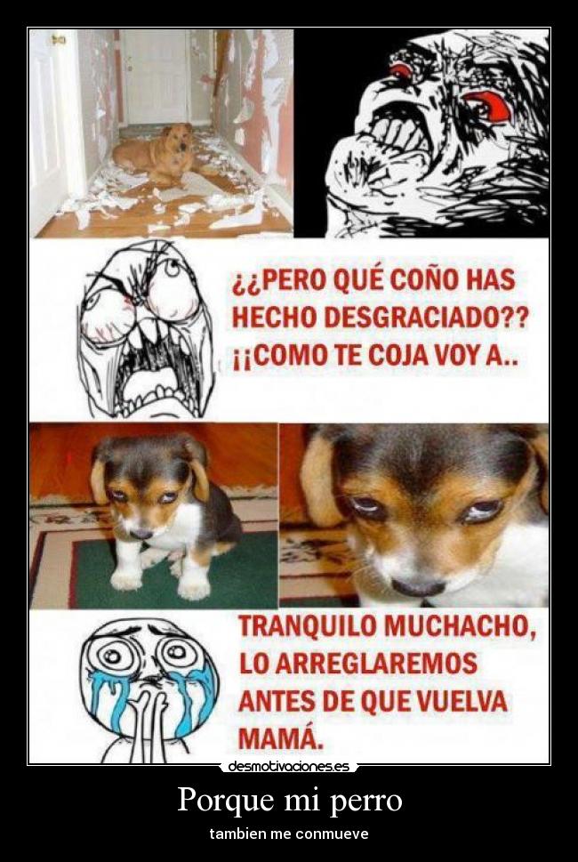 carteles miradas desmotivaciones