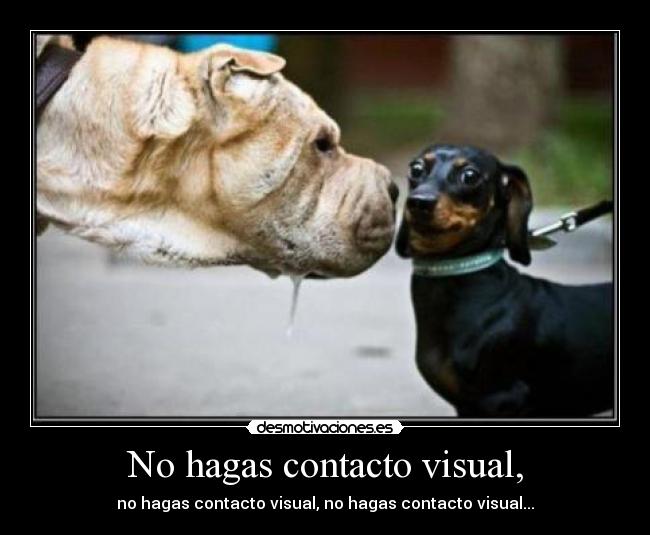 No hagas contacto visual, - 
