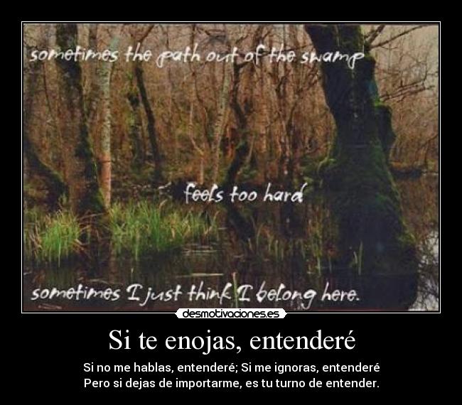 Si te enojas, entenderé - Si no me hablas, entenderé; Si me ignoras, entenderé
Pero si dejas de importarme, es tu turno de entender.