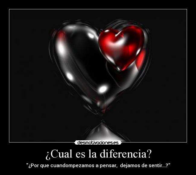 ¿Cual es la diferencia? - 