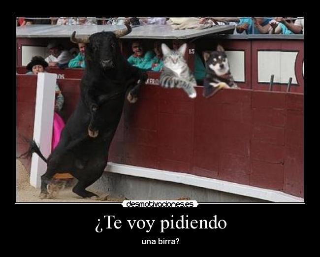 ¿Te voy pidiendo -