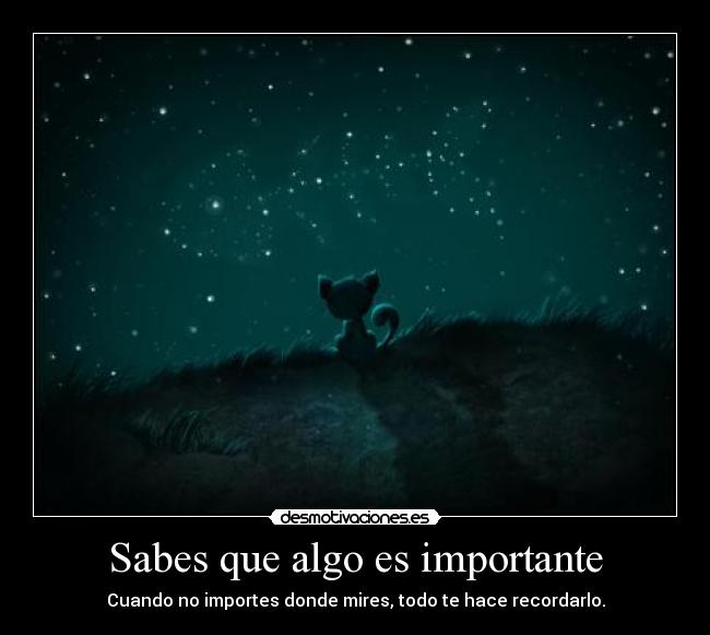 carteles importar desmotivaciones