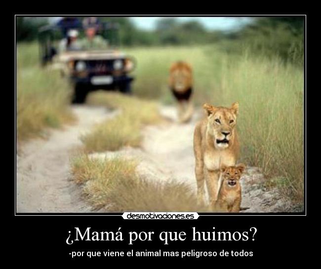 ¿Mamá por que huimos? - 