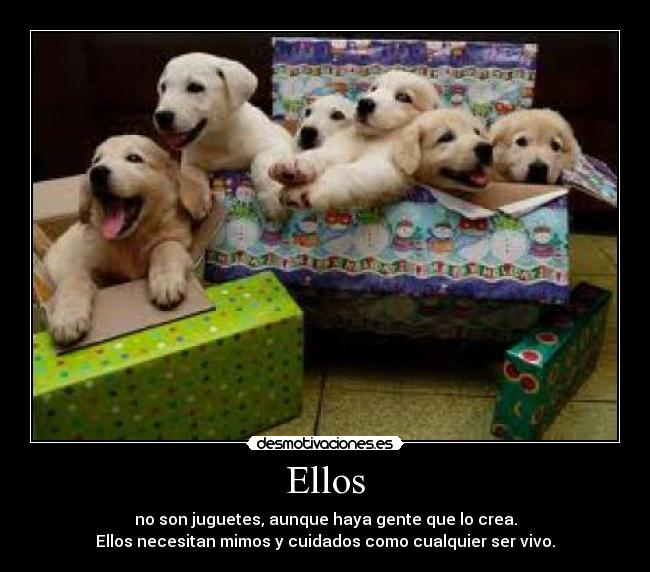 carteles mariatururu desmotivaciones