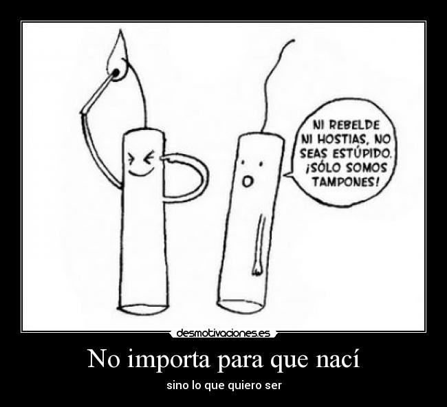 No importa para que nací - 