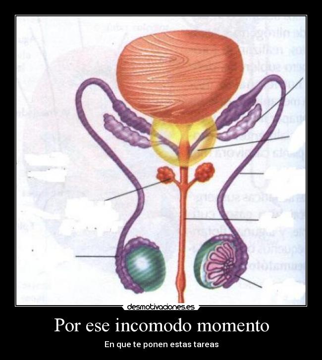 Por ese incomodo momento -