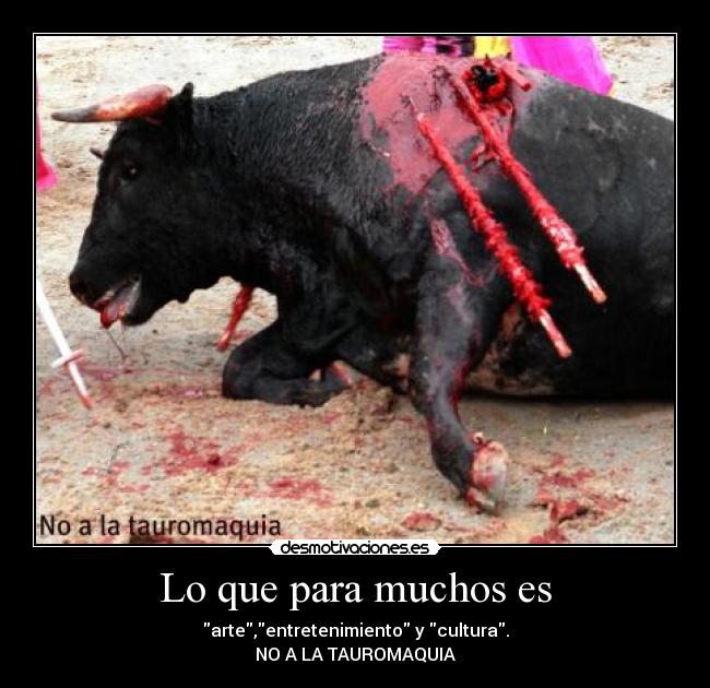 Lo que para muchos es - 