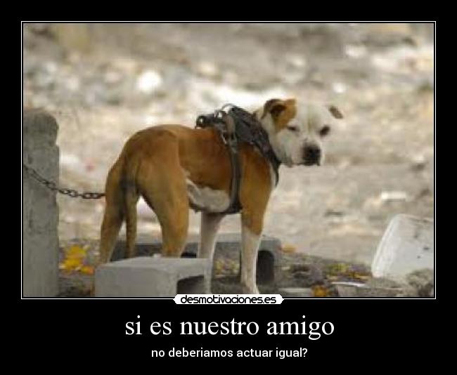 si es nuestro amigo - no deberiamos actuar igual?