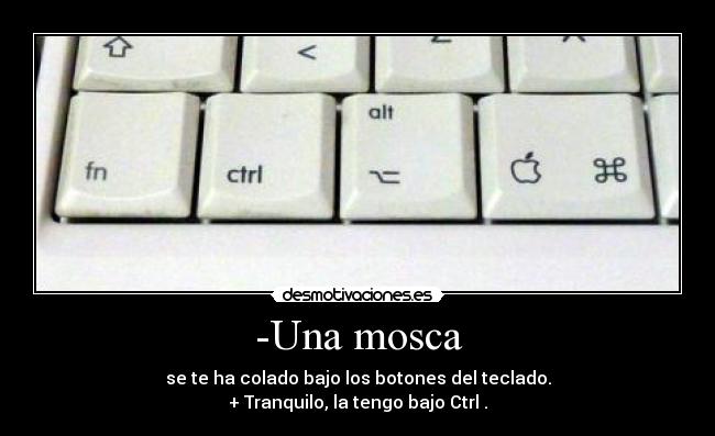-Una mosca - se te ha colado bajo los botones del teclado.
+ Tranquilo, la tengo bajo Ctrl .