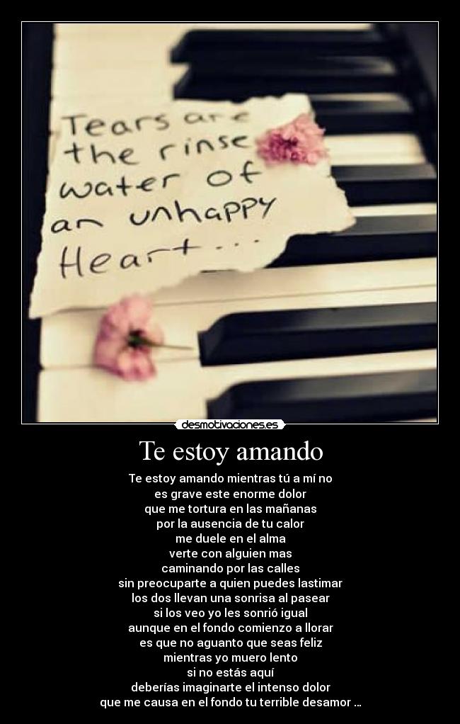 Te estoy amando -