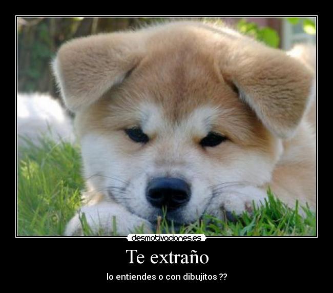 Te extraño - lo entiendes o con dibujitos ??