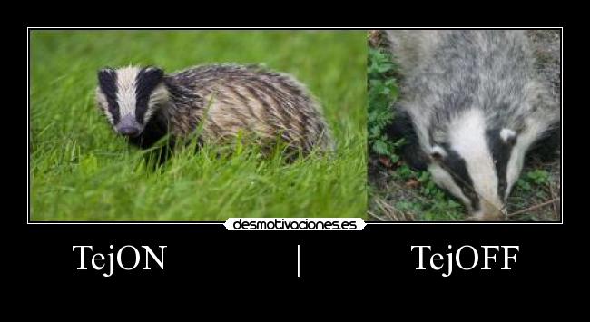 TejON | TejOFF -
