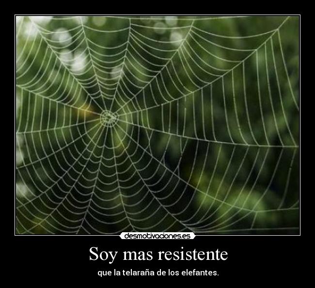 carteles camisaez desmotivaciones