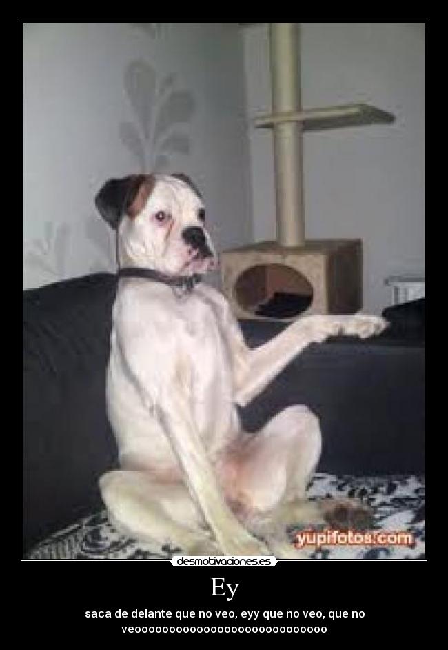 Ey - saca de delante que no veo, eyy que no veo, que no
veoooooooooooooooooooooooooooo