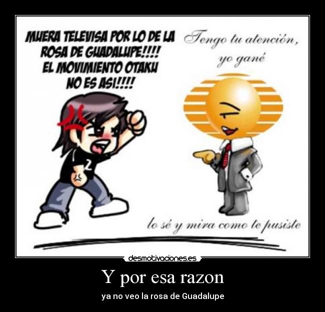 Y por esa razon - ya no veo la rosa de Guadalupe