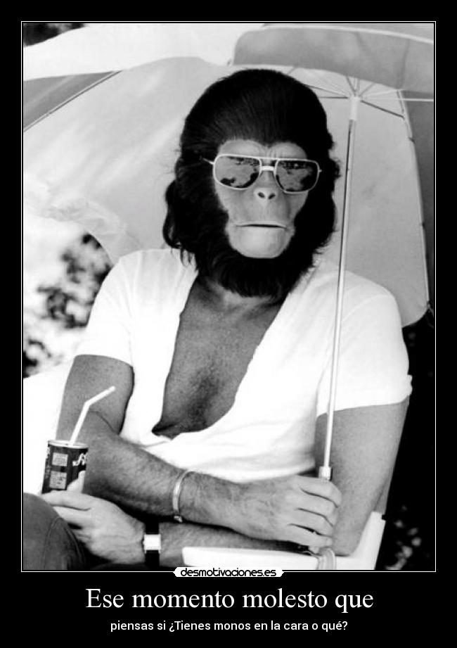 Ese momento molesto que -