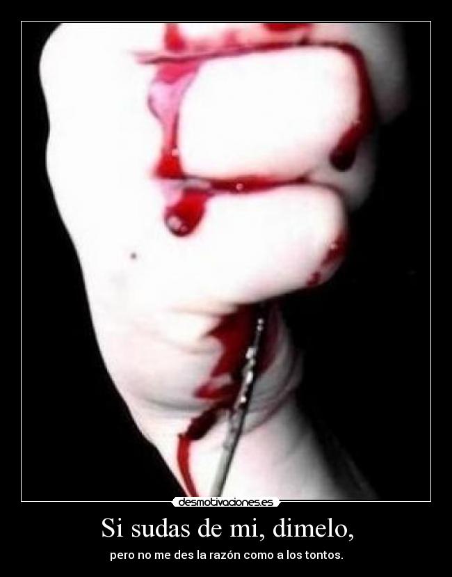 Si sudas de mi, dimelo, - pero no me des la razón como a los tontos.