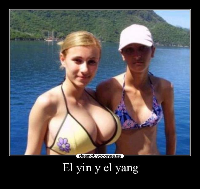 El yin y el yang -