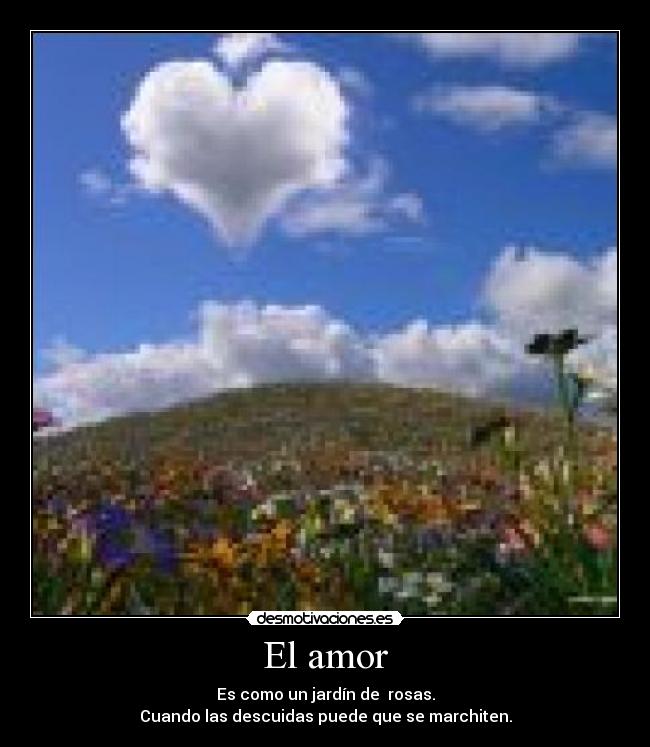 El amor -