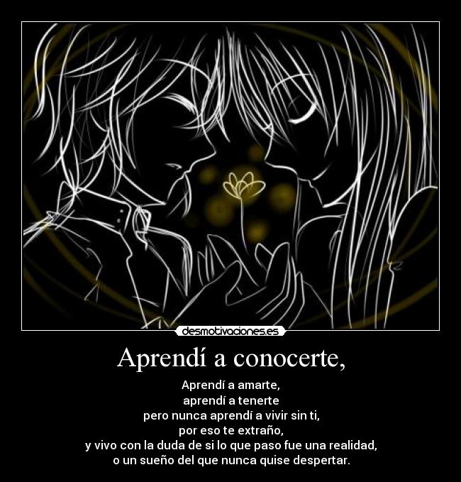 Aprendí a conocerte, - Aprendí a amarte,
aprendí a tenerte
pero nunca aprendí a vivir sin ti,
por eso te extraño,
y vivo con la duda de si lo que paso fue una realidad,
o un sueño del que nunca quise despertar.