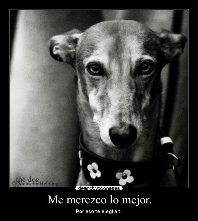 Me merezco lo mejor. - 