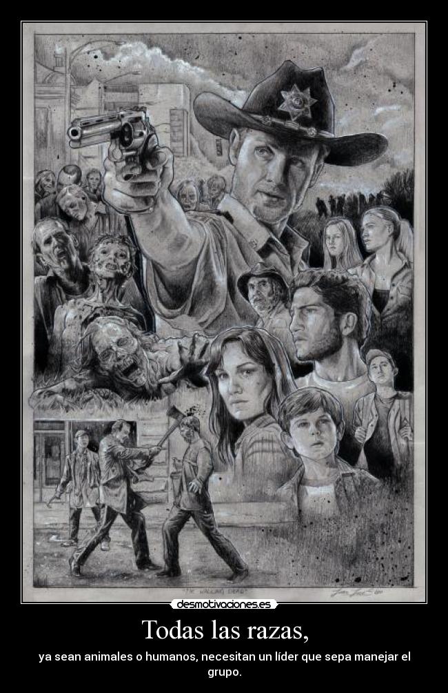Todas las razas, - ya sean animales o humanos, necesitan un líder que sepa manejar el grupo.