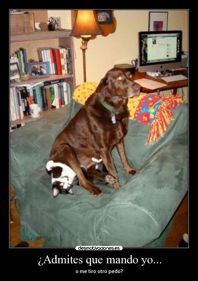 carteles d17pac desmotivaciones