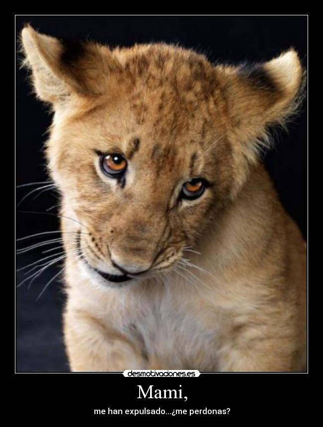 carteles d17pac desmotivaciones