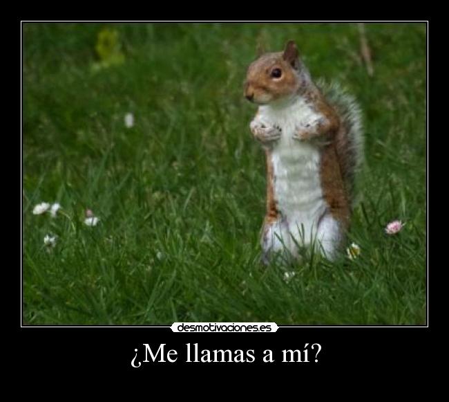 ¿Me llamas a mí? - 
