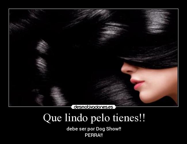 Que lindo pelo tienes!! -
