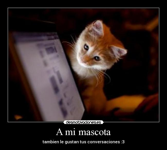 carteles mascota desmotivaciones