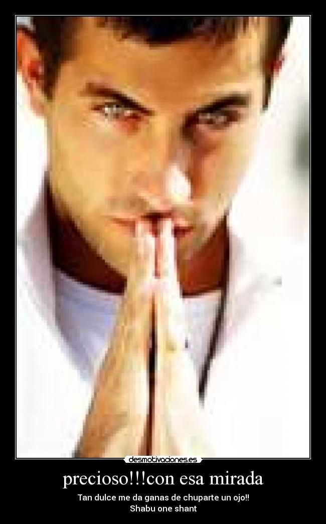 precioso!!!con esa mirada - Tan dulce me da ganas de chuparte un ojo!!
Shabu one shant