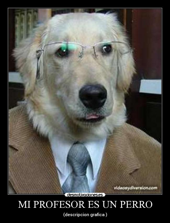 MI PROFESOR ES UN PERRO - 