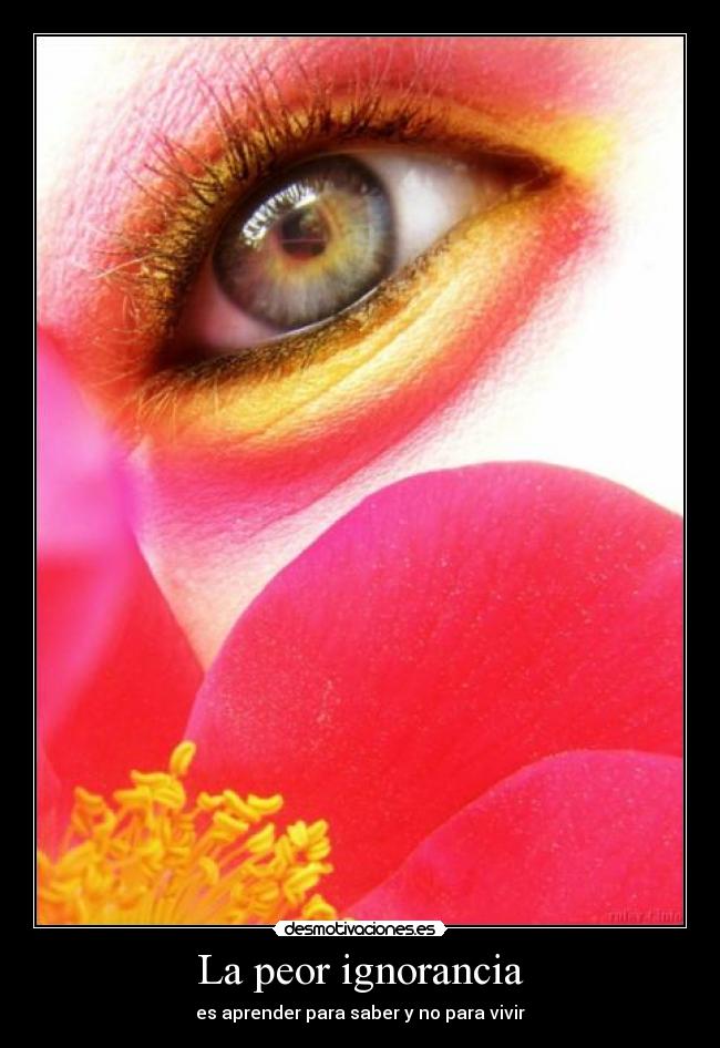 La peor ignorancia - 