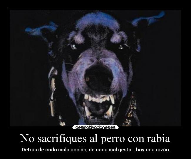 No sacrifiques al perro con rabia -