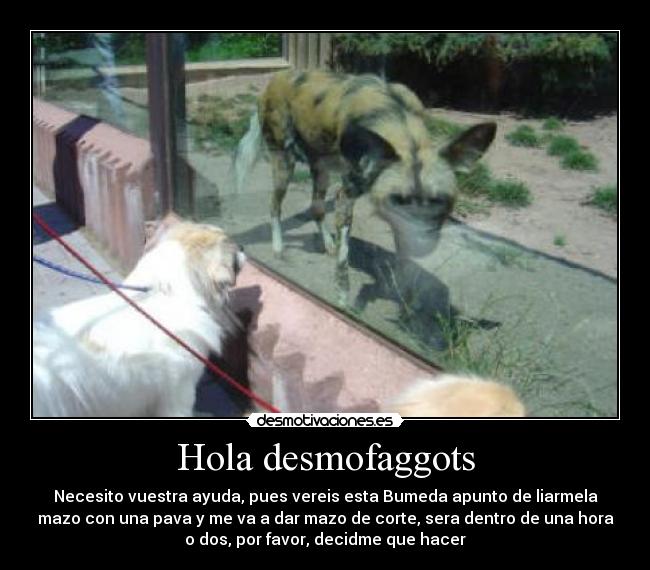 Hola desmofaggots - 