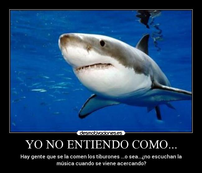 carteles tiburenos musica desmotivaciones