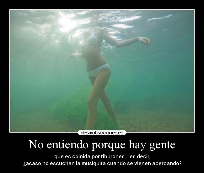 No entiendo porque hay gente -