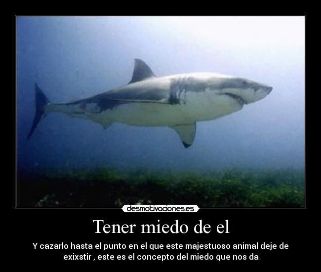 Tener miedo de el - Y cazarlo hasta el punto en el que este majestuoso animal deje de
exixstir , este es el concepto del miedo que nos da