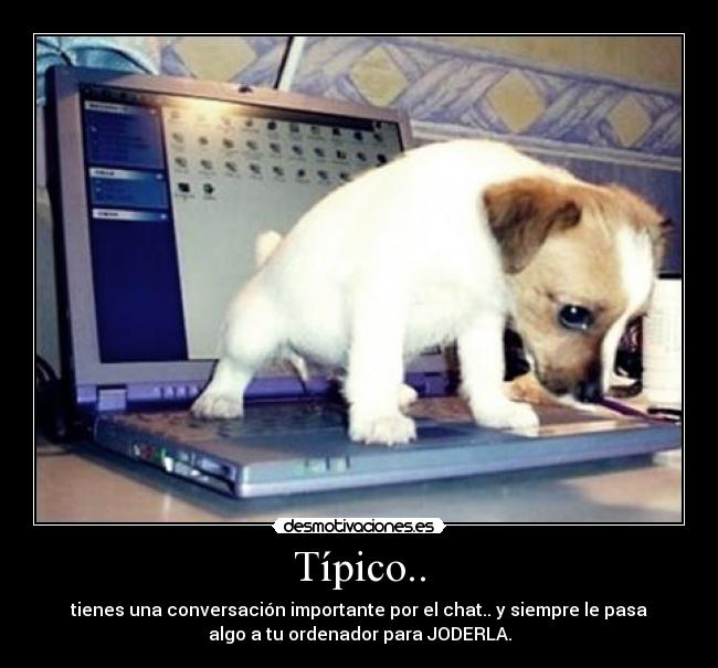 Típico.. - 