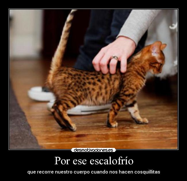 Por ese escalofrío - que recorre nuestro cuerpo cuando nos hacen cosquillitas