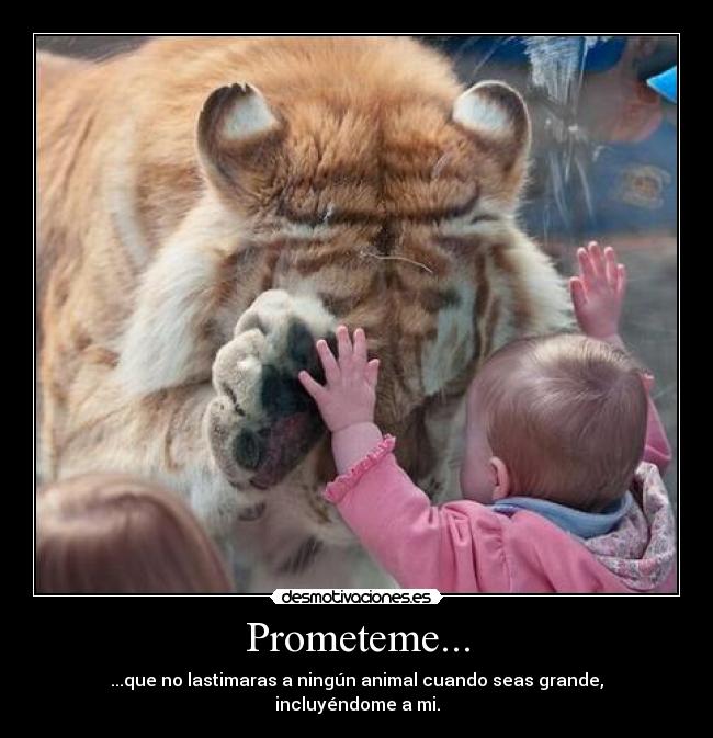 carteles hectorlove desmotivaciones