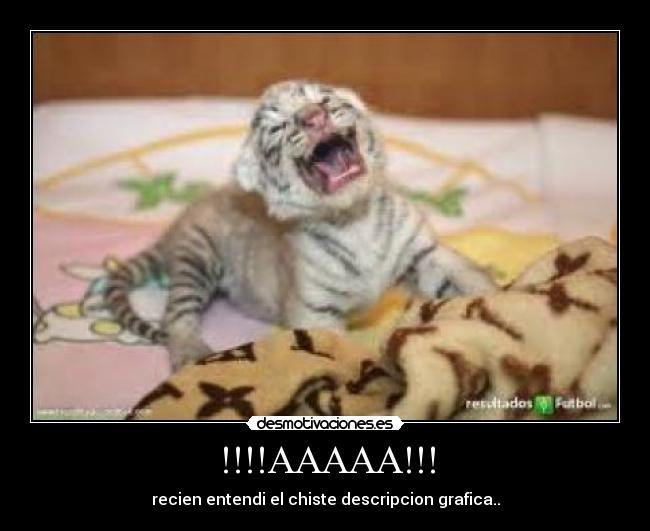 !!!!AAAAA!!! - recien entendi el chiste descripcion grafica..