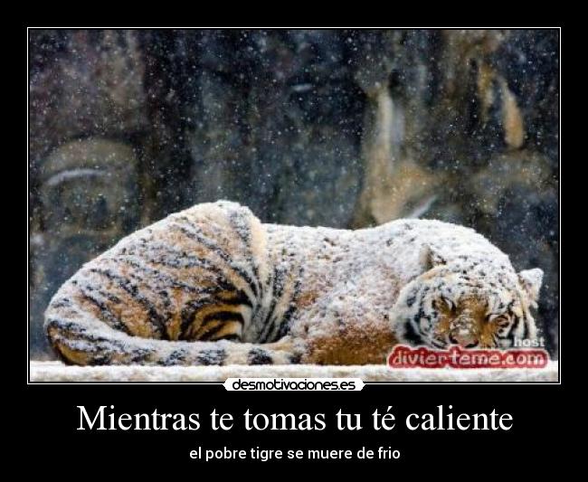 carteles dav desmotivaciones