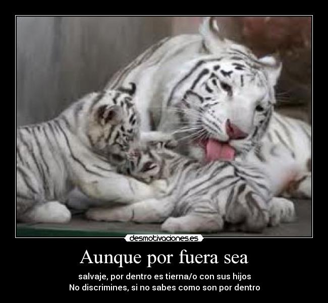 Aunque por fuera sea -