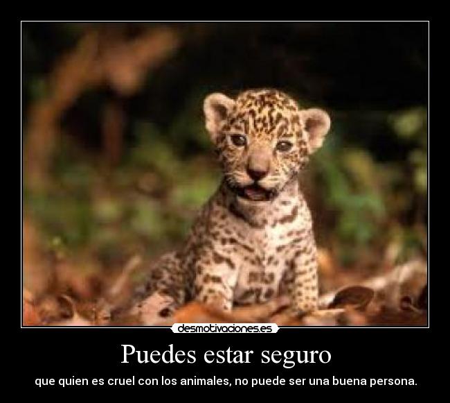 Puedes estar seguro - que quien es cruel con los animales, no puede ser una buena persona.