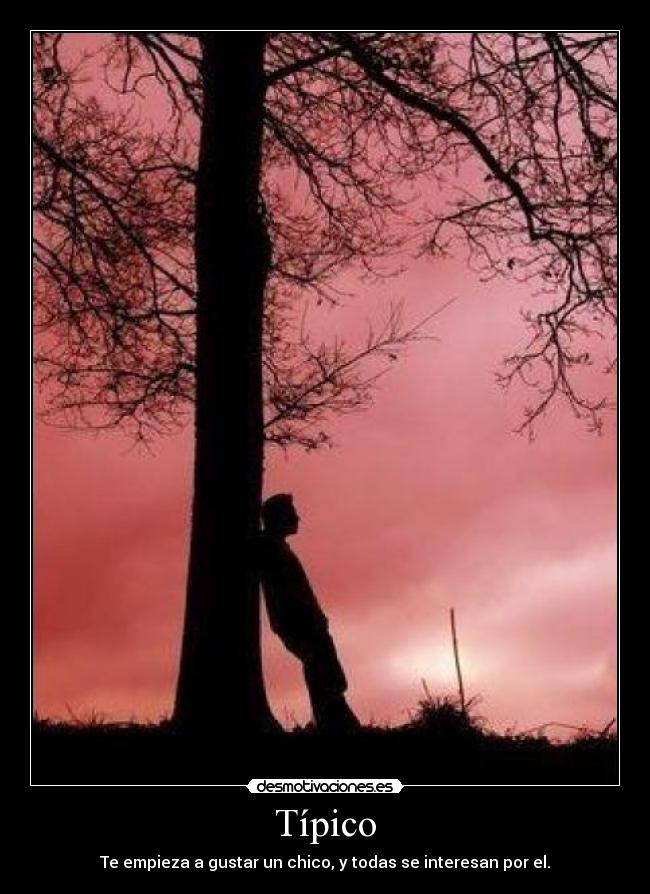 Típico - Te empieza a gustar un chico, y todas se interesan por el.