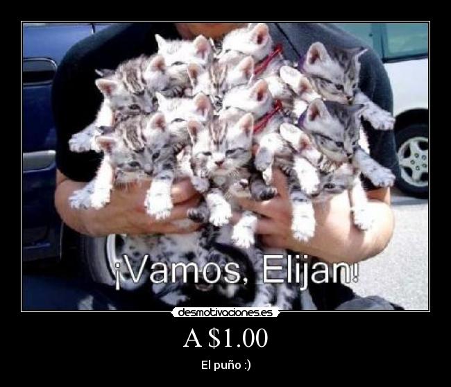 A $1.00 - El puño :)
