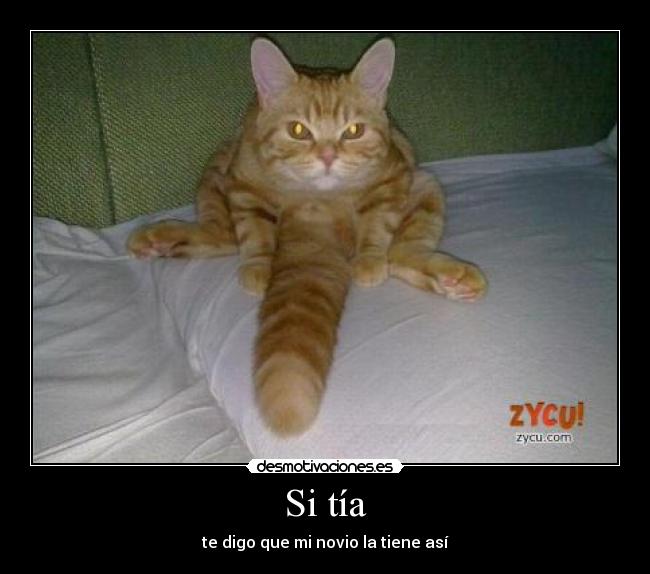 dormir las mejores perras xxx dormir las mejores perras xxx