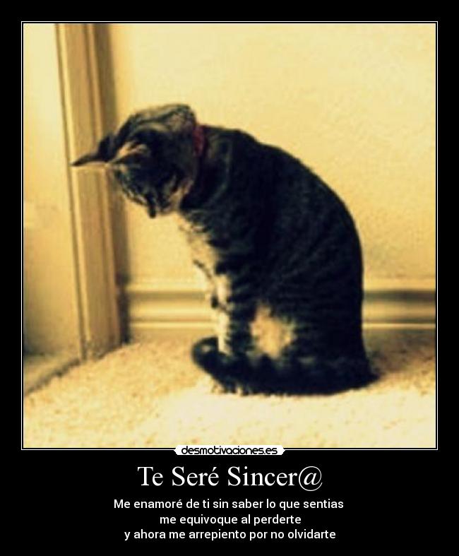 Te Seré Sincer@ - Me enamoré de ti sin saber lo que sentias
me equivoque al perderte
y ahora me arrepiento por no olvidarte